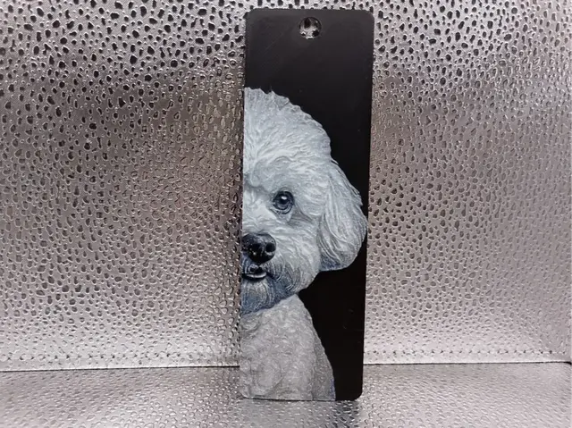 HueForge model: Bichon Frise Bookmark – Hueforge by Borishotch Industries