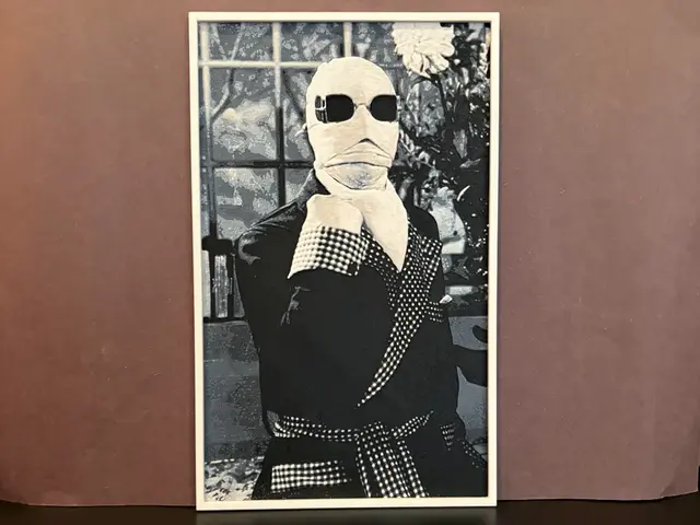 HueForge model: The Invisible Man Hueforge by Estiv
