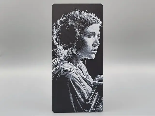 HueForge model: Princess Leia - Star Wars - Hueforge by Sarge