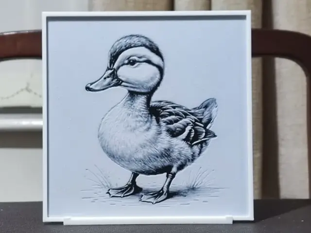 HueForge model: Duck - HueForge 2 Color by BoDad