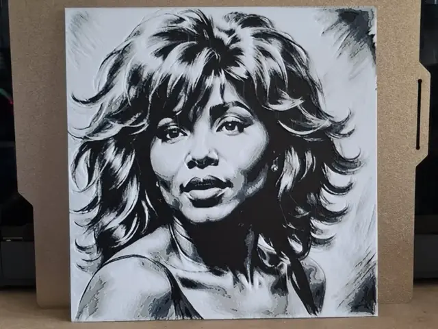 HueForge model: Tina Turner - Hueforge by 3dGlow