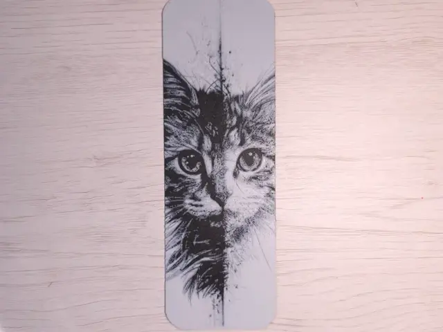 HueForge model: Double Cat Bookmark by Atrus Design