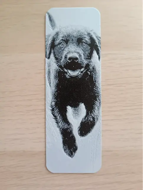 HueForge model: Dog Run Bookmark by Atrus Design