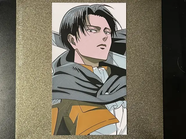 HueForge model: Attack on Tian Levi Ackerman Hueforge by FantasyZ