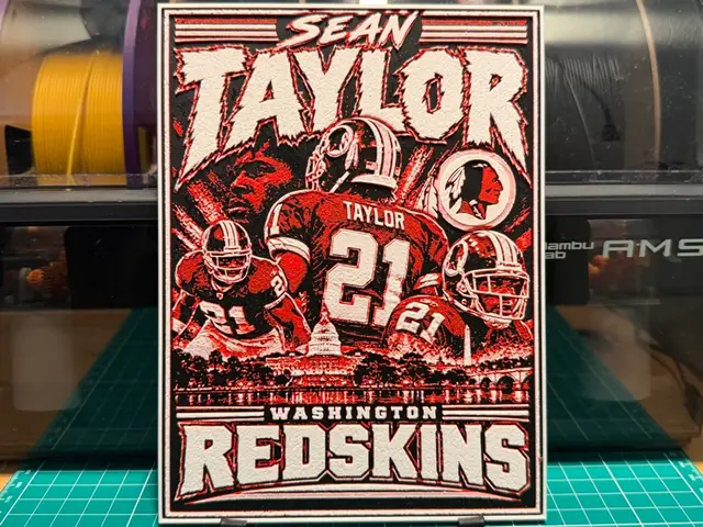 Sean Taylor Poster