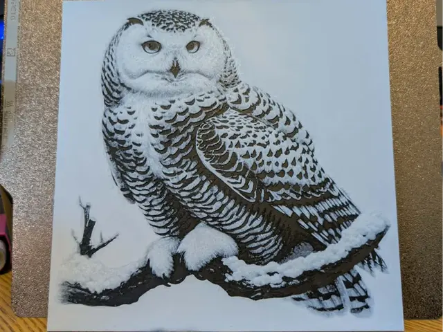 HueForge model: Snow owl - 2 colour hueforge by 3dGlow
