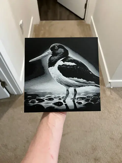 HueForge model: Oyster-Catcher Art Hueforge by RP47 Designs