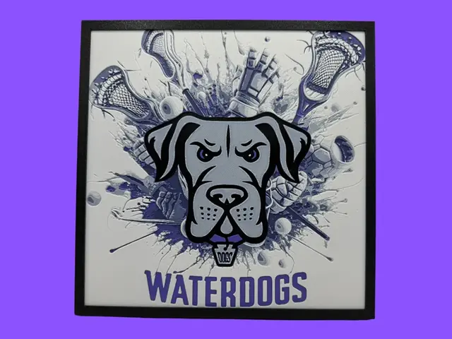 HueForge model: Philadelphia Waterdogs - Premiere Lacrosse League by Canadian Gamer