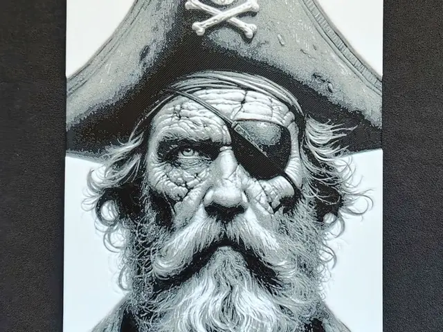 HueForge model: Pirate II. HueForge by fD.667