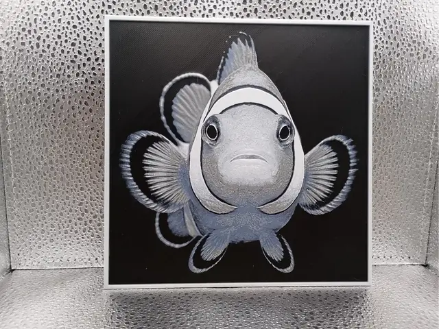 HueForge model: Clownfish – Hueforge by Borishotch Industries