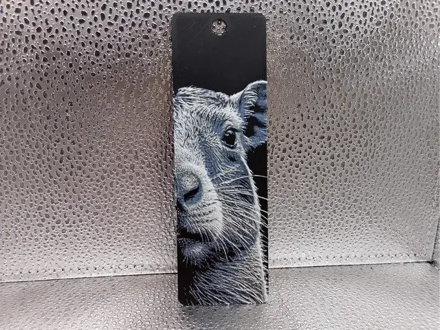 HueForge model: Capybara Bookmark – Hueforge by Borishotch Industries