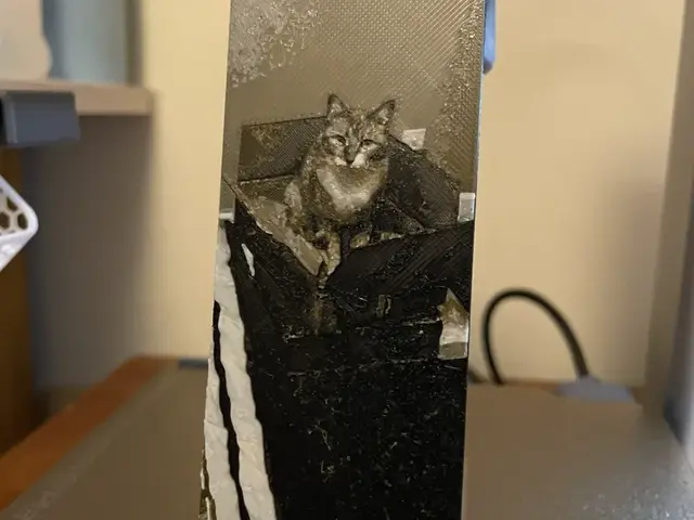 HueForge model: Cat in a box Bookmark by 3D_Forged