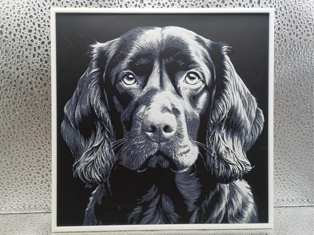 Boykin Spaniel - Hueforge by Borishotch Industries HueForge model: Boykin Spaniel - Hueforge by Borishotch Industries