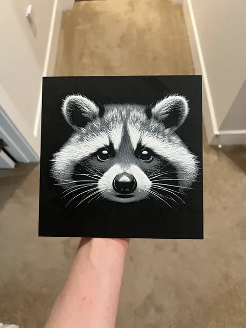 HueForge model: Racoon Grayscale Art Hueforge by RP47 Designs