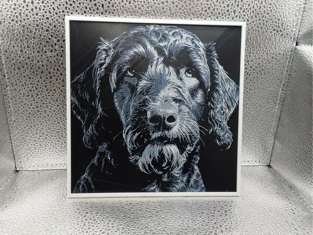 HueForge model: Labradoodle - Hueforge by Borishotch Industries