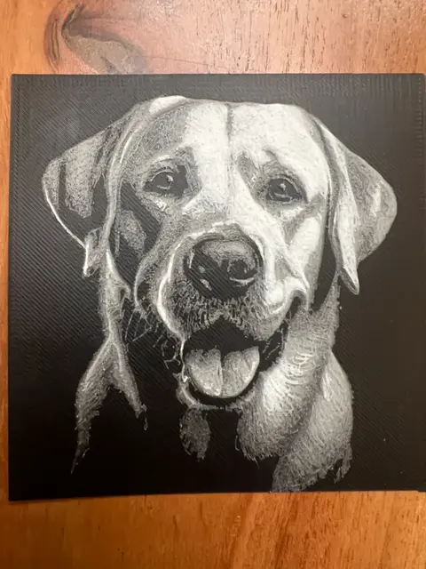 HueForge model: Labrador Retriever by JustBe 3D Printing