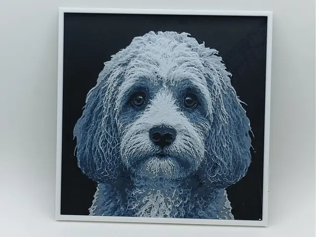 HueForge model: Cavapoo - Hueforge by Borishotch Industries