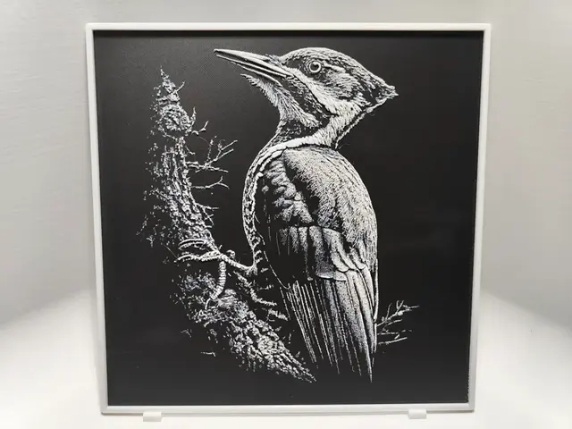 HueForge model: Woodpecker - Hueforge by BeaN