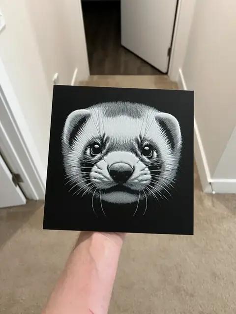 HueForge model: Ferret Face Art Hueforge by RP47 Designs