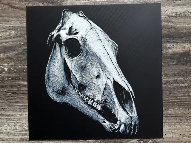HueForge model: Horse Skull Series by novy