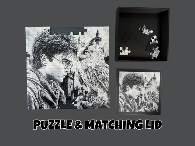 HueForge model: Harry Potter & Hedwig - Puzzle with Matching Lid by Canadian Gamer