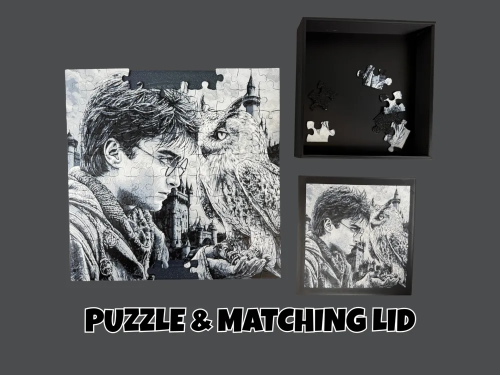 Harry Potter & Hedwig - Puzzle with Matching Lid by Canadian Gamer HueForge model: Harry Potter & Hedwig - Puzzle with Matching Lid by Canadian Gamer