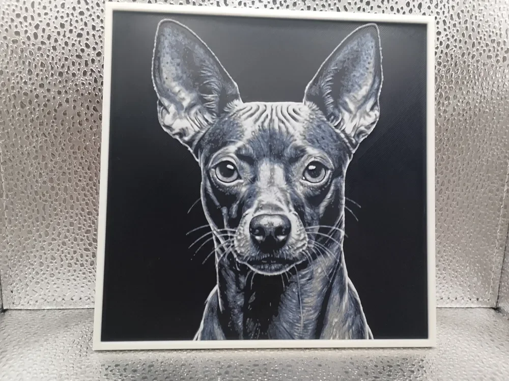 Xoloitzcuintle – Hueforge by Borishotch Industries HueForge model: Xoloitzcuintle – Hueforge by Borishotch Industries