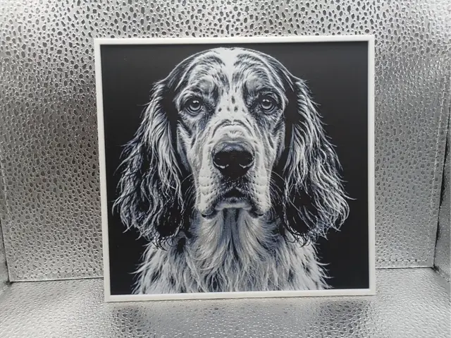 HueForge model: English Setter - Hueforge by Borishotch Industries