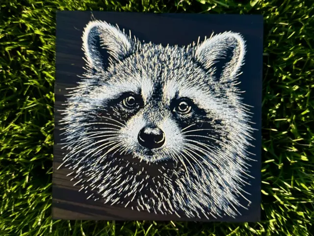 HueForge model: Raccoon Wildlife Series by novy