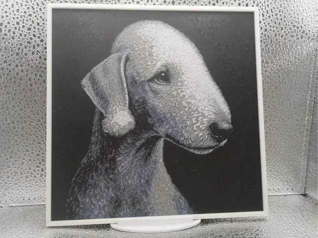 HueForge model: Bedlington Terrier hueforge by Borishotch Industries