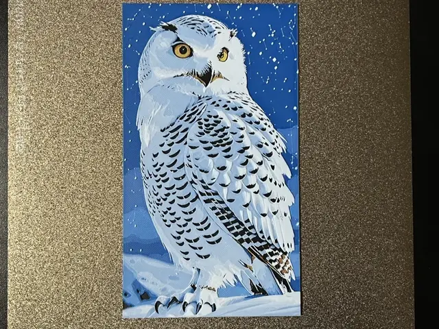 HueForge model: Animal Snowy Owl Hueforge by FantasyZ