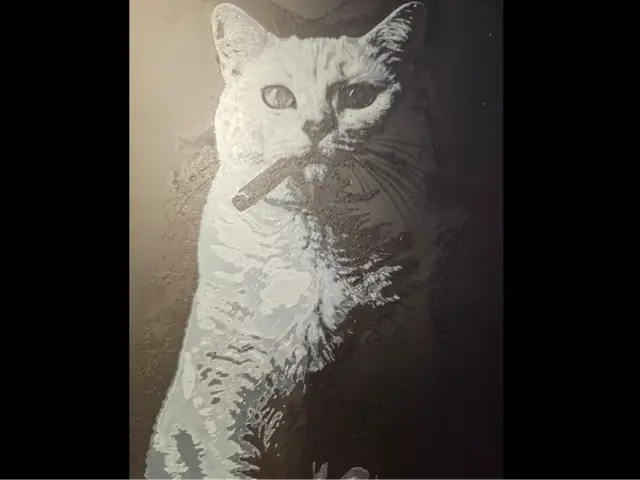 Smoking Cat - Hueforge
