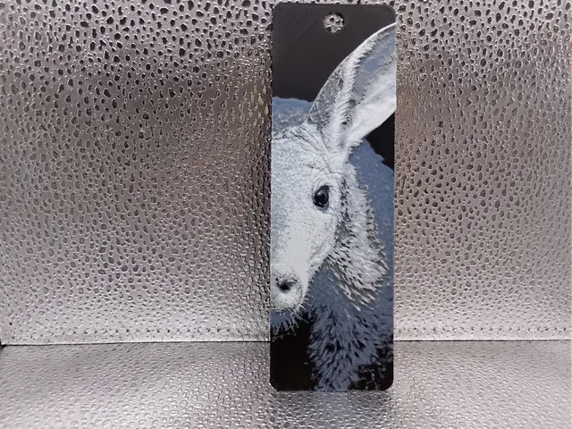 HueForge model: Aardvark Bookmark – Hueforge by Borishotch Industries