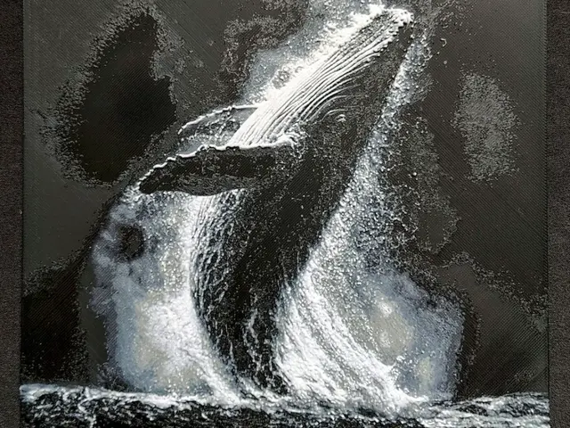 HueForge model: Whale HueForge by fD.667