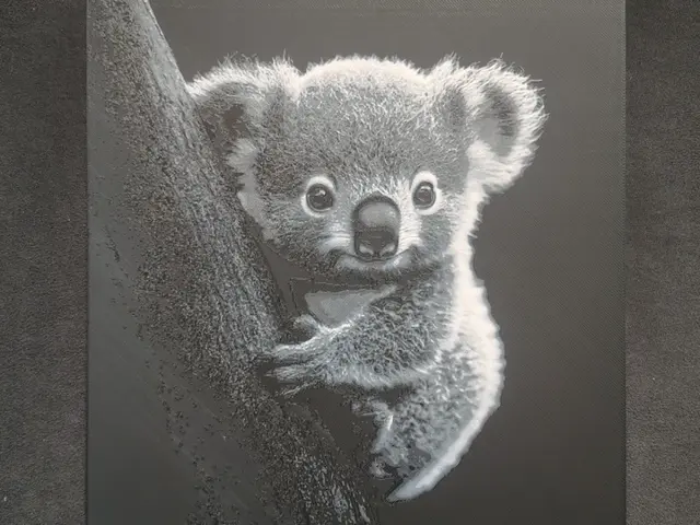 HueForge model: Koala HueForge by fD.667