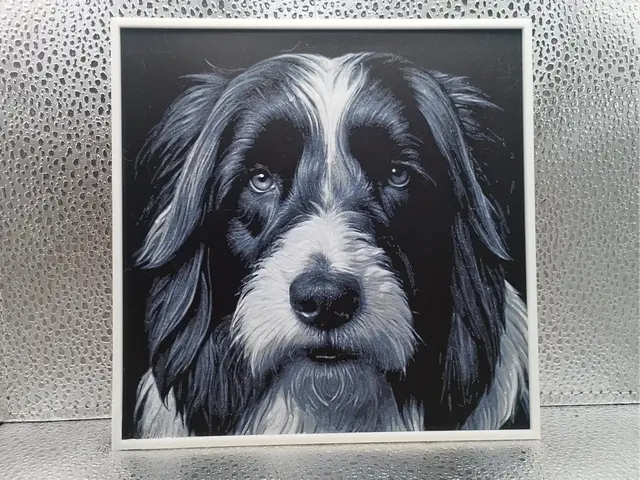 HueForge model: Bearded Collie - Hueforge by Borishotch Industries
