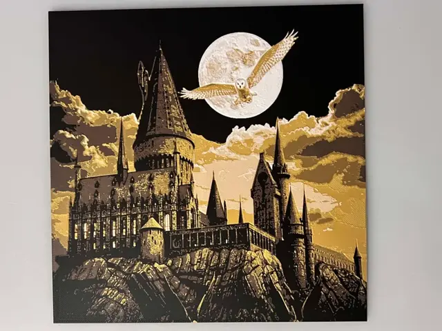 HueForge model: Harry Potter Hedwig Over Hogwarts by 3djd