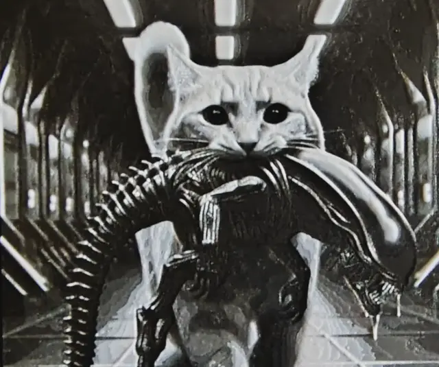 Cat hunter HueForge