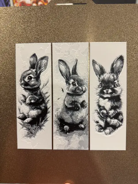 HueForge model: Welcome Pack - Bunny Bookmarks by Canadian Gamer