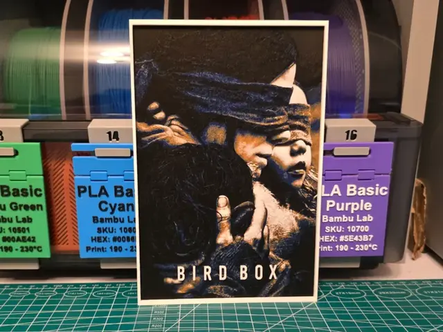 HueForge model: Bird Box Movie Poster - Hueforge Art by Lumpy3D