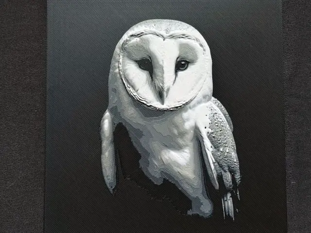 Owl II. HueForge