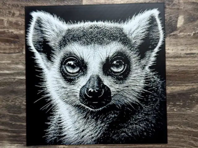 HueForge model: Ring-Tailed Lemur Wildlife Series by novy