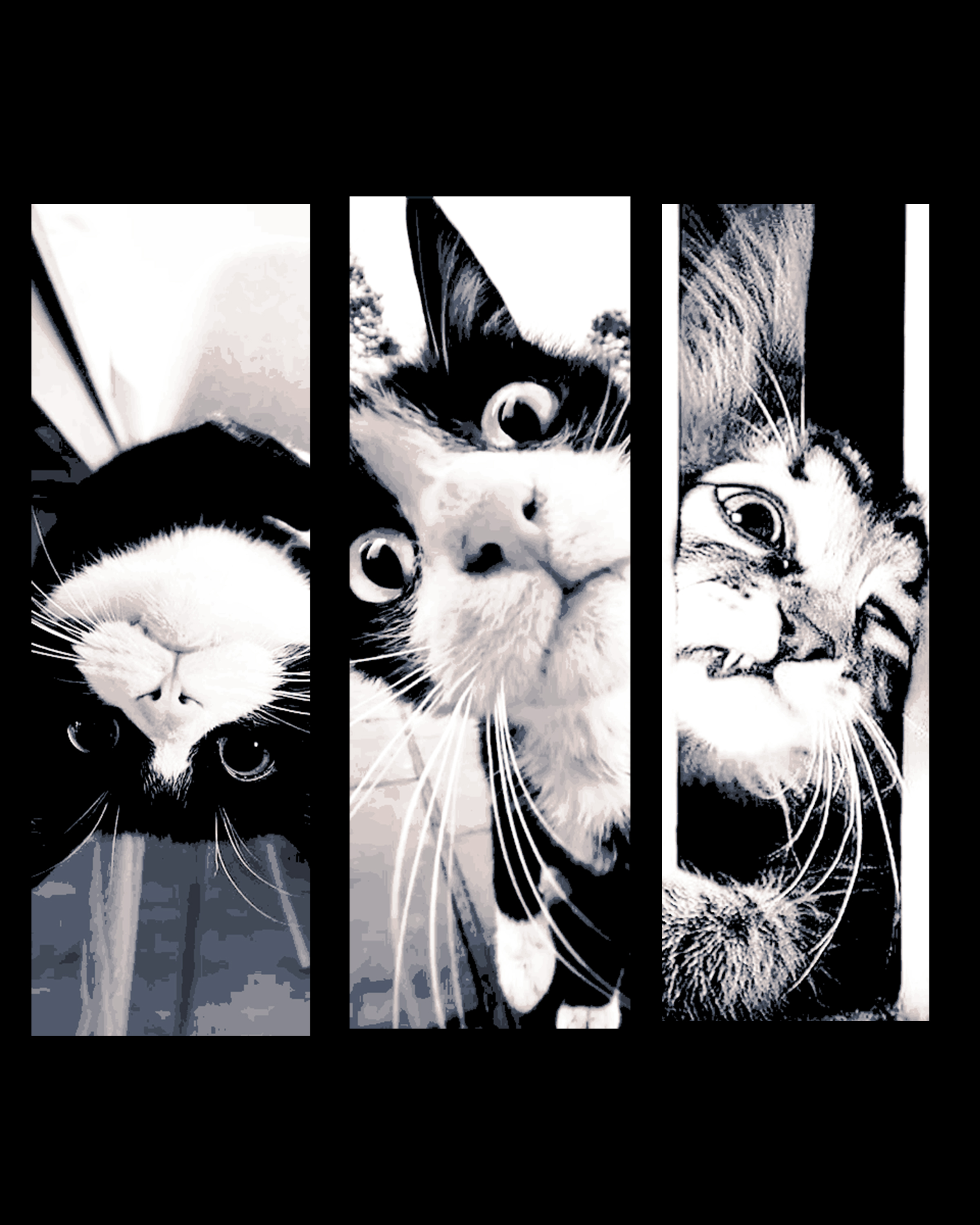 Some Funny Faces from the neighborhood Cats - set of bookmarks by BooneCo3d HueForge model: Some Funny Faces from the neighborhood Cats - set of bookmarks by BooneCo3d
