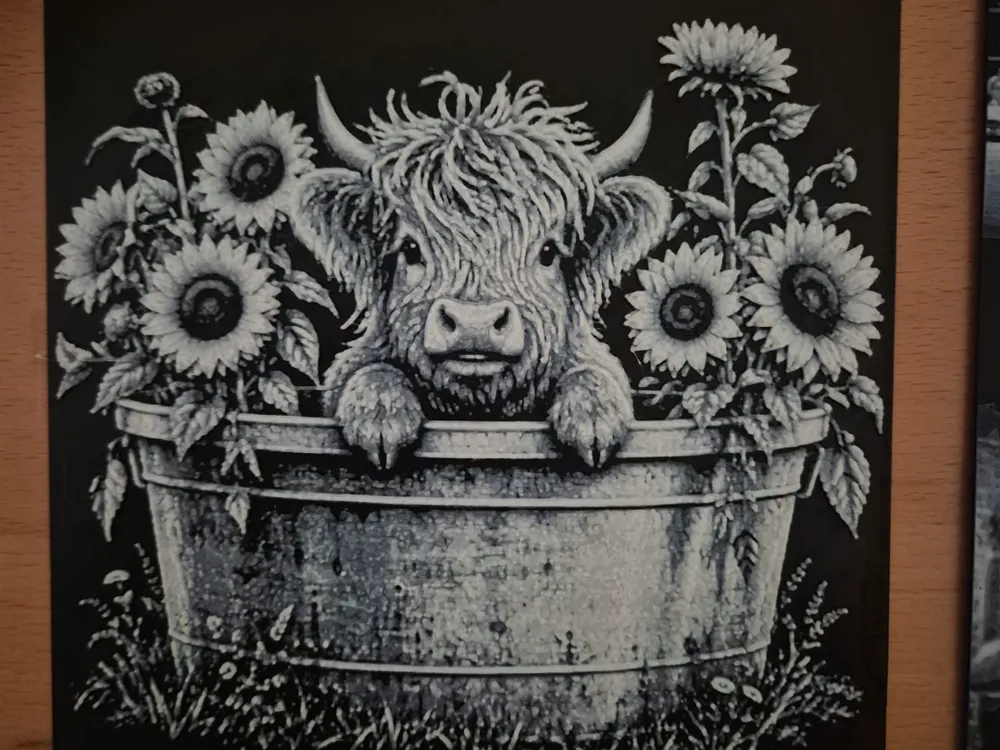 highland cow bucket by Buntsta HueForge model: highland cow bucket by Buntsta