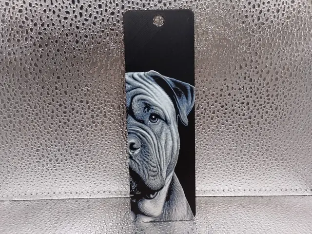 HueForge model: Shar Pei Bookmark – Hueforge by Borishotch Industries