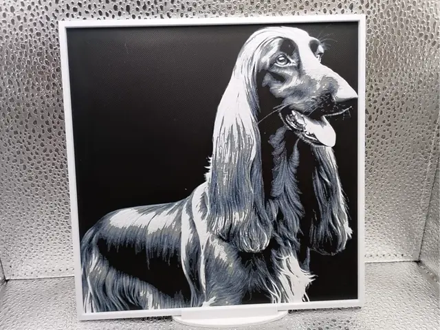 HueForge model: Afghan Hound Hueforge by Borishotch Industries