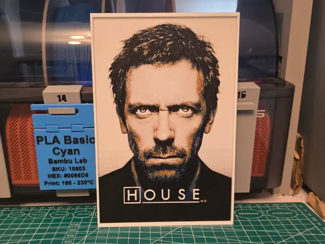 HueForge model: House Sereis Poster - Hueforge Art by Lumpy3D