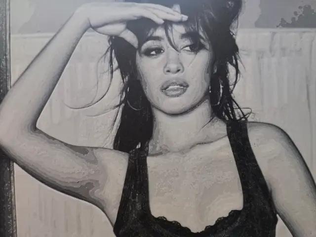 HueForge model: Camila Cabello HueForge 4 Color by BoDad