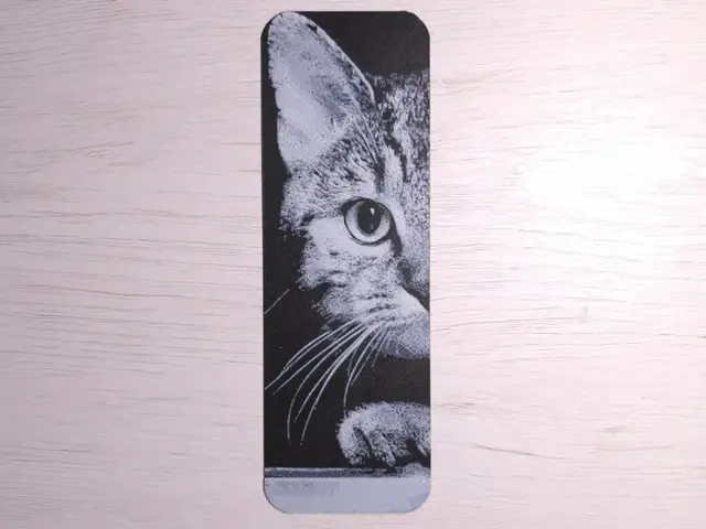 HueForge model: Street Cat Bookmark by Atrus Design