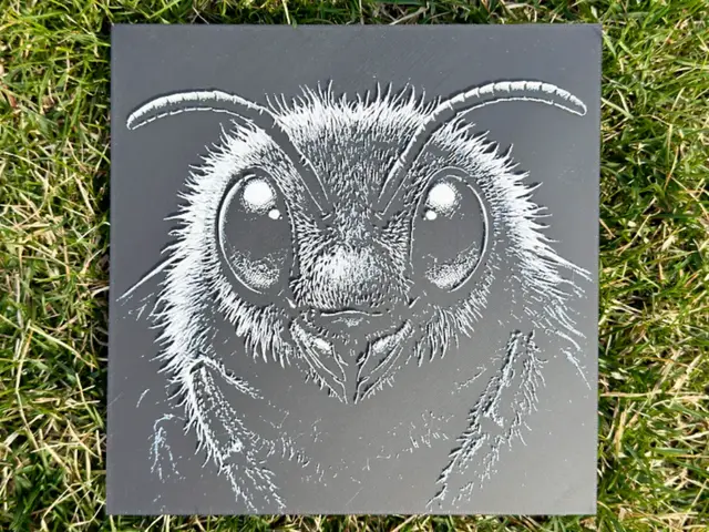 HueForge model: Bee Wildlife Series by novy
